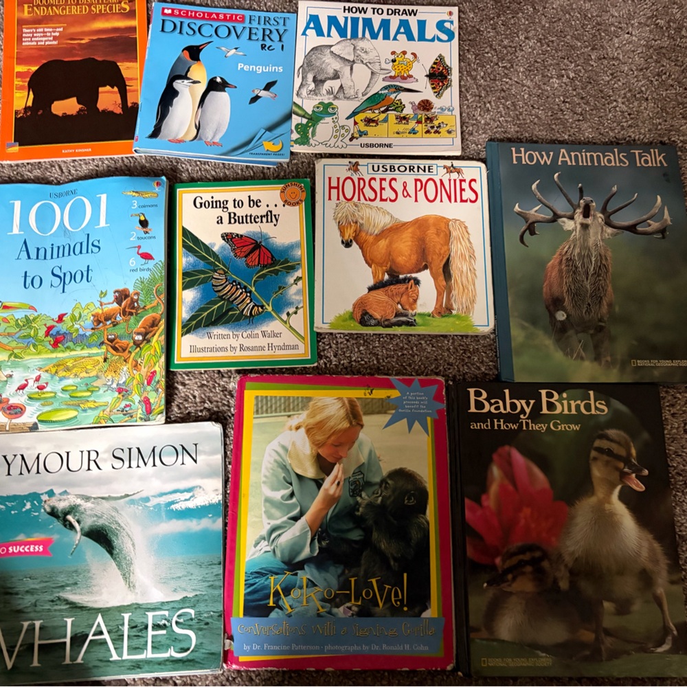 10 Animal Discovery Book Set for Kids